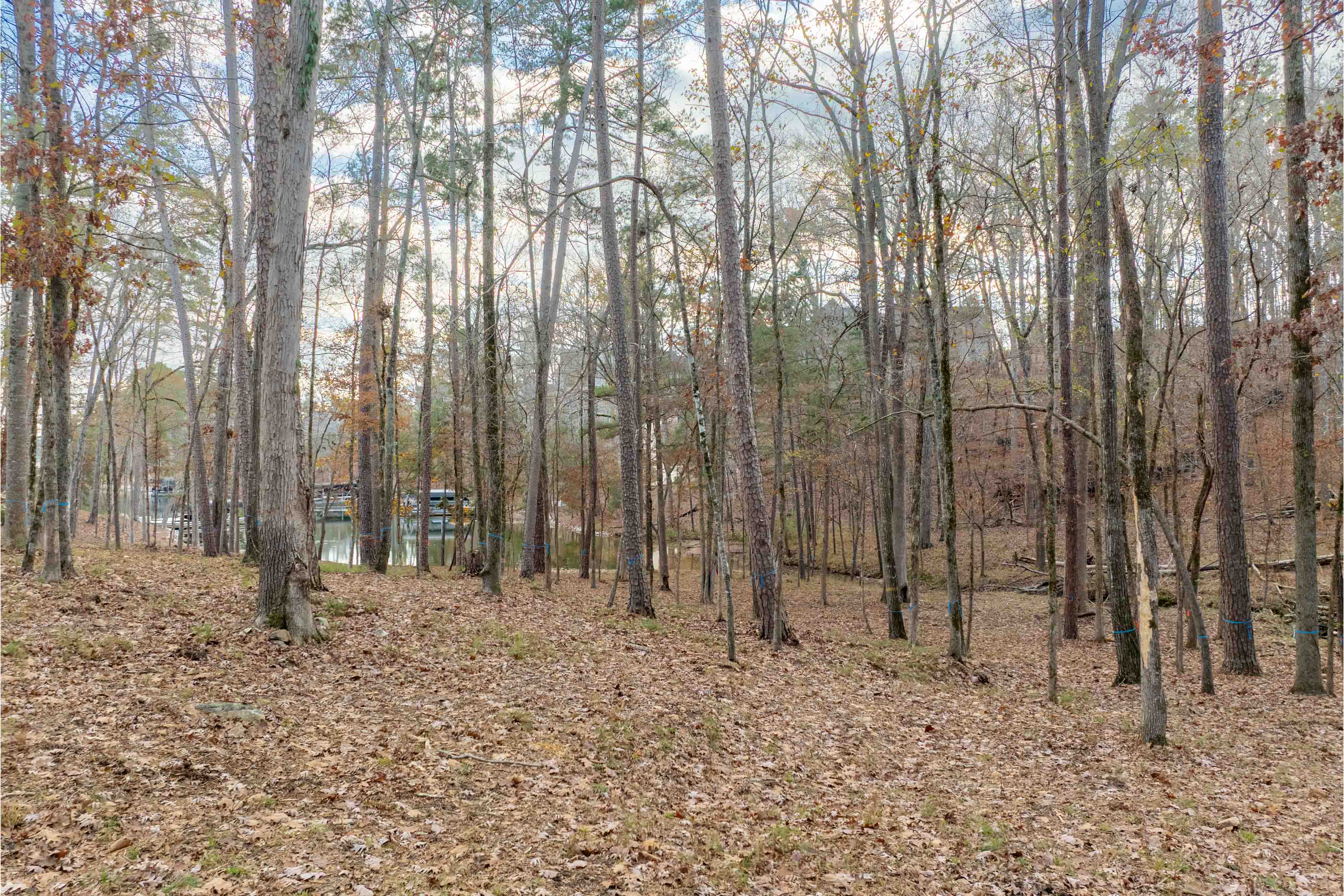 1217 Fox Squirrel Drive image 8